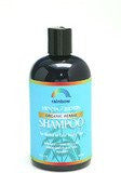 Rainbow Research Henna With Biotin Highlighting Shampoo -- 12 fl oz